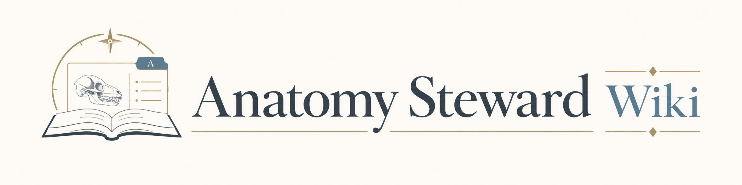 Anatomy Steward Wiki